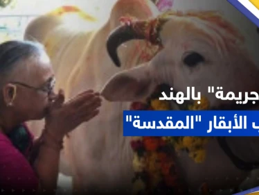 جريمة بحق مسلمين بالهند بسبب "الأبقار المقدسة"