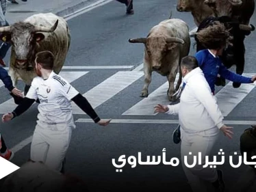 حادثة مأساوية في مهرجان الثيران بإسبانيا.. ثور يهاجم أحد الحاضرين وينهي حياته بنطحة واحدة (صور)