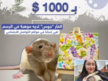 لوحة فنية بريشة فأر تباع بأكثر من 1000 دولار