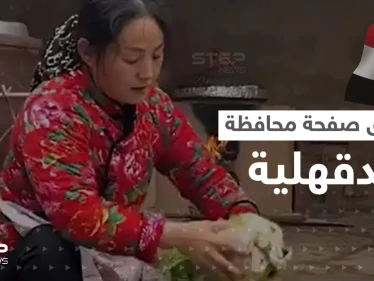 اختراق الصفحة الرسمية لـ محافظة الدقهلية.. ونشر فيديو غريب بداخلها يثير سخرية المصريين