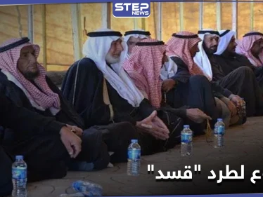 مشروع إيراني جديد لطرد "قسد" من ديرالزور.. و"مسد" تتخوف من عملٍ عسكري مرتقب