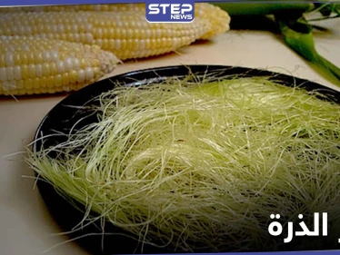 شَعر الذرة مادة غذائية .. فوائدها الطبية والعلاجية لأمراض الكلى والروماتيزم