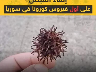 فيروس كورونا في سوريا