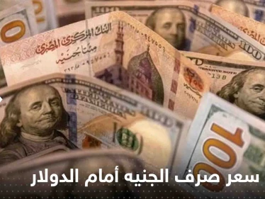 مصر تكشف سر مرونة سعر صرف الجنيه أمام الدولار