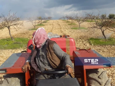 رش أشجار الفستق الحلبي بالزيت الشتوي والمبيدات الحشرية بريف إدلب