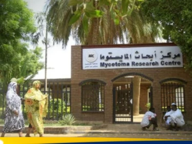 تدمير المركز الوحيد في العالم لأبحاث المايستوما في السودان.. فما أهميته