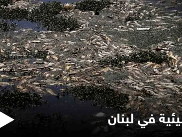 كارثة تهدد حياة اللبنانيين.. آلاف الأسماك النافقة تحمل فيروساً خطيراً تتكدس قرب الليطاني وتحذيرات من الجهات المعنية