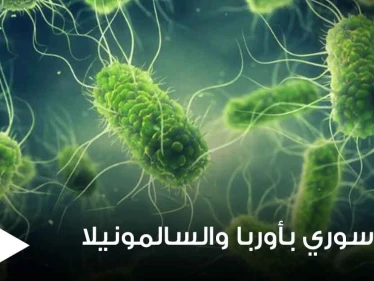 منتجات سورية في أوروبا تتسبب بعدة إصابات ببكتيريا السالمونيلا.. فما هي وما أعراضها ودرجة خطورتها