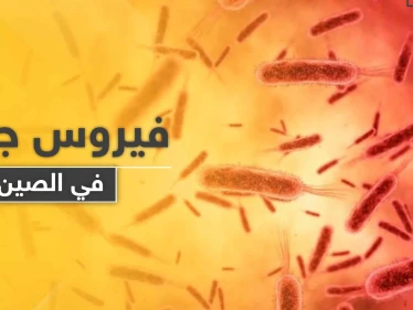 لا علاج له منذ أعوام.. فيروس جديد في الصين شديد العدوى يتسبب بمقتل 7 أشخاص