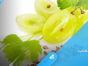 بذور العنب.. تحارب السرطان والأمراض المزمنة إليك أهم فوائدها