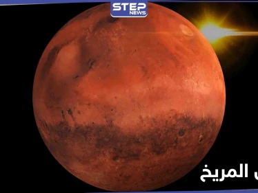سكان المريخ.. مصادر تكشف موعد تحقيق الحلم