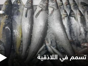 بسبب سوء التخزين.. 21 حالة تسمم غذائي في اللاذقية ومنع بيع "سمك الدراويش" إلا عبر شروط خاصة