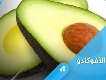 فوائد زبدة الأفوكادو وطريقة تحضيرها بخطوات سهلة