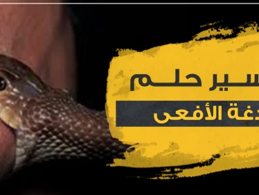 تفسير حلم لدغة الأفعى للفتاة العزباء.. وبحسب لون الأفعى ومكان اللدغة