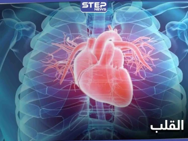 إجراء روتيني بسيط..أثبتت الدراسات الحديثة بأنه لاحدود لفوائده على صحة القلب