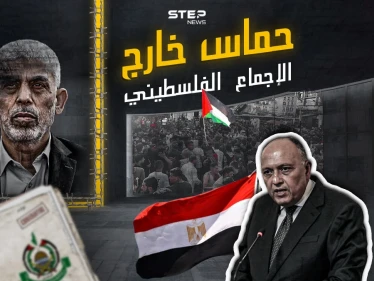 ما بين مؤيد ومعارض.. تصريحات وزير الخارجية المصري تشعل تفاعلاً .. شاركنا برأيك ؟