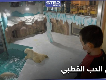 فندق الدب القطبي الأول في العالم يستقبل زواره في الصين
