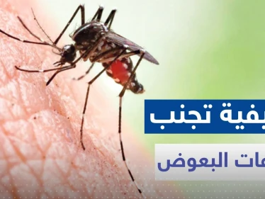 لتجنب لدغات البعوض مع دخول فصل الصيف.. تناول هذه الأعشاب والتوابل