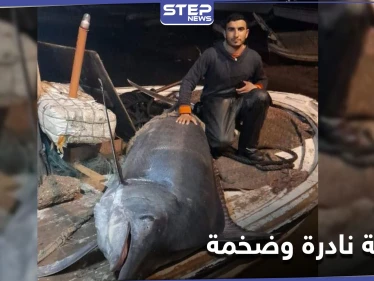 بالصور|| لبناني يصطاد سمكة نادرة وضخمة بطول 3 أمتار من شواطئ عكار شمال البلاد
