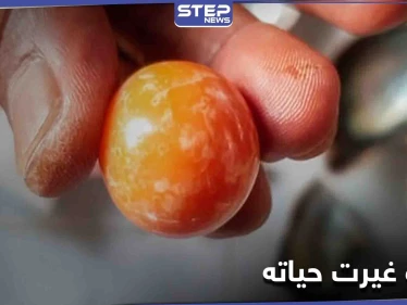 كما في الروايات... لؤلؤة نادرة تقلب حياة صياد رأساً على عقب (صور)