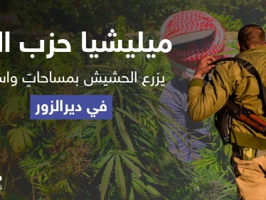 بمعاونة النظام السوري.. "حزب الله" يزرع الحشيش بمساحاتٍ واسعة في دير الزور