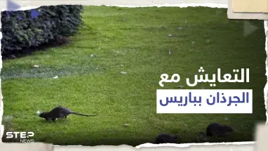 طلب "غريب" من سلطات باريس للمواطنين بالمدينة بعد أن غزتها الجرذان