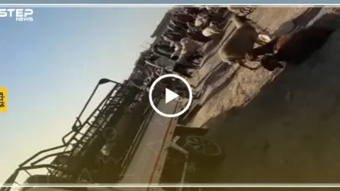 جولة لعدسة ستيب من سوق المواشي في قرية ابريهة بريف دير الزور (فيديو)