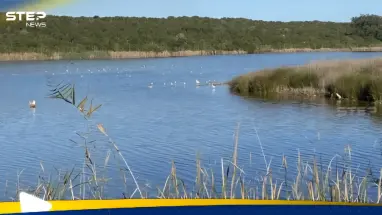 تحذير من كارثة وشيكة تهدد الأرض: أحدث الأخبار