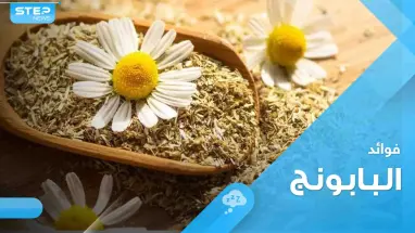 الغذاء والدواء" تتحدث عن 3 فوائد لتناول عشبة البابونج وتحذر من تناوله بحالة واحدة