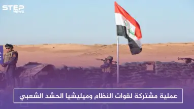 عملية مشتركة لقوات النظام وميليشيا الحشد الشعبي على الحدود العراقية السورية