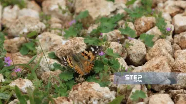 موجز أخبار الوضع السوري ليوم الجمعة 05-04-2019
