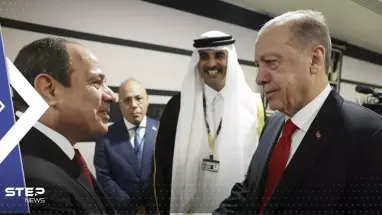 وزير الخارجية التركي يتحدث عن لقاء مرتقب بين أردوغان والسيسي