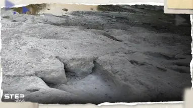 بفضل الجفاف.. اكتشاف أطول مسار للديناصورات في العالم