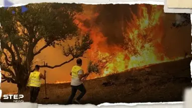الدرك الوطني الجزائري يعتقل المتسبب في حرائق عش الباز بولاية بجاية