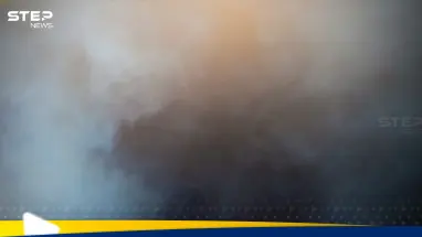 سمكة تقطع الكهرباء عن 1500 شخص في كندا.. فما القصة: أحدث الأخبار