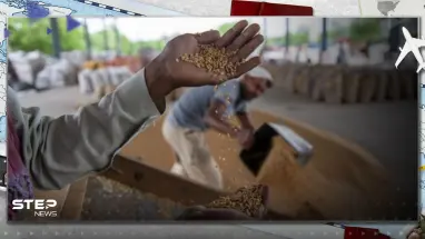 منها البطاطا.. المناخ يهدد غذاء العالم ويحكم على 5 أطعمة شائعة بالانقراض