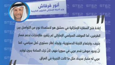 وزير الدولة للشؤون الخارجية الإماراتي: الموقف السياسي الإماراتي لم يتغير، والإمارات تدعم مسار جنيف، واجتماع اللجنة الدستورية
