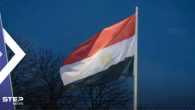 مصر تصدر بياناً بشأن "لحوم محقونة بهرمونات محظورة في البلاد"