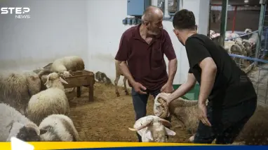 عيد الأضحى: عندما تخرج الأمور عن السيطرة.. تسجيل آلاف الإصابات في تركيا: أحدث الأخبار