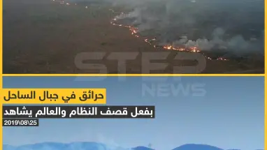 ما الفرق بين سوريا والأمازون برأيك؟!