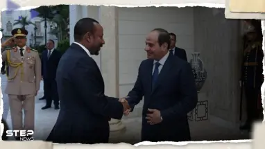 السيسي يحذر من خطورة الوضع في السودان على دول الجوار ويطرح 4 نقاط "عاجلة" لإنهاء الأزمة (فيديو)