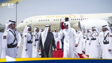 الرئيس الإماراتي وأمير قطر