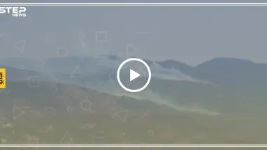 اشتعال الحرائق بأحراش جبال اللاذقية إثر القصف الجوي والبري على المنطقة (فيديو)