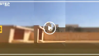 بالفيديو || أسد يقف قرب مدرسة في الرياض يثير الذعر
