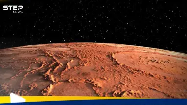 اكتشاف كائن حي فريد يستطيع العيش على المريخ قد يفتح الباب أمام استعمار الكوكب الأحمر : أحدث الأخبار