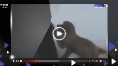 بالفيديو|| قرد يحاول سرقة ملابس إحرام سيدة على جبل النور بمكة المكرمة يثير تفاعلاً على التواصل الاجتماعي