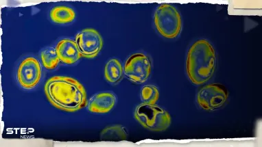 علماء يحذرون من تفشي فطريات قاتلة بسبب التكيف مع الحر