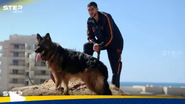 "كلاب ضخمة بمنازل غزة".. صحيفة عبرية تكشف عن ظاهرة جديدة يواجهها الجيش الإسرائيلي