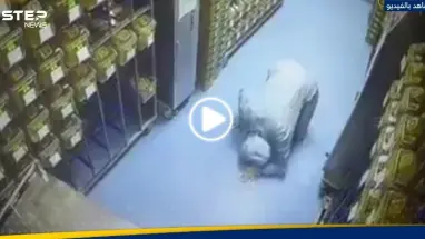 بالفيديو|| مطاردة بين عالمة وفأر تجارب يحمل "فيروسات قاتلة" داخل مختبر صيني