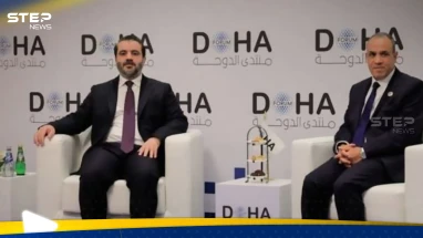 لقاء يجمع وزير الخارجية السورية ونظيره المصري